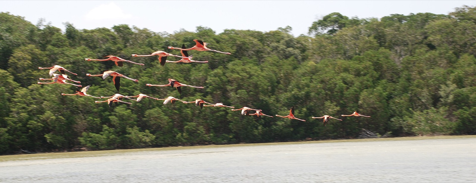 Celestún Biosphere Reserve